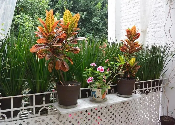 2br W/ Terrace And Very Good Location Apartamento México DF